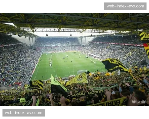 多特蒙德俱乐部推出纪录片，回顾伊杜纳信号公园球场百年历史