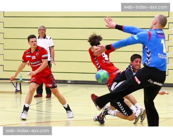 为迎接2026年女子世锦赛，瑞士伯尔尼全新多功能手球馆通过验收