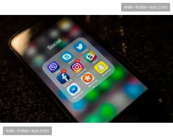 回顾：欧盟《数字服务法案》对法甲俱乐部处理网络仇恨言论提出的新要求